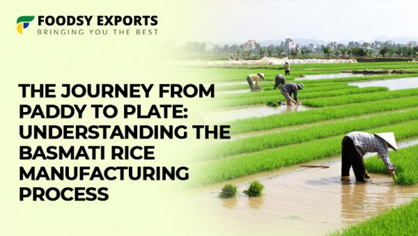 Basmati Rice Exporters: Understanding The Basmati Rice Manufacturing ...