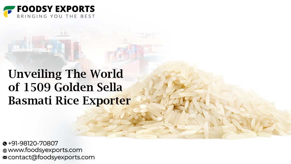 The World of Best 1509 Golden Sella Basmati Rice Exporter in India